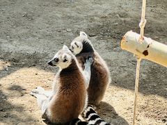 -水上乐园·欢乐世界