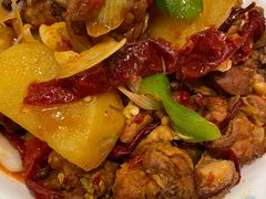 -巴依老爷新疆美食(望京小街店)