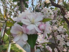 -元大都城垣遗址公园