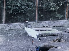 -哈尔滨北方森林动物园