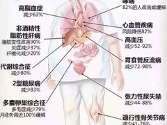 -金吉鸟健身游泳