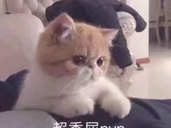 -星巴克(甘河路店)