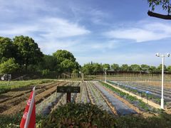 -上膳源有机农场