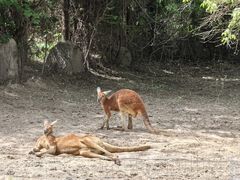 -北京野生动物园