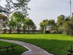 -同里国家湿地公园