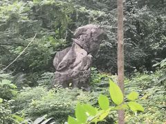 -重庆彩云湖湿地公园