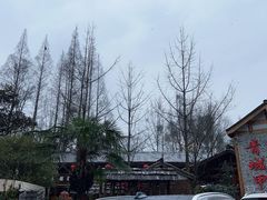 -青城甲(青城山店)