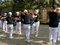 -共青国家森林公园-南大门停车场