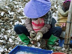 -蚝乡农庄(铁涌赤岸店)