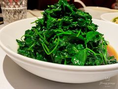 五粮液嫩豆苗-玫瑰厅上海菜(兴国路店)