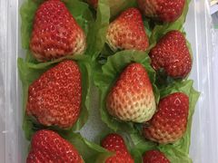 -百果园PAGODA(应元路店)