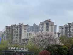 -洋湖国家湿地公园