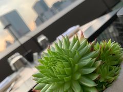 -Mercato莫卡多露台餐厅与酒吧(K11店)