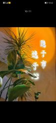-隐逸SPA