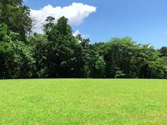 -深圳仙湖植物园-停车场