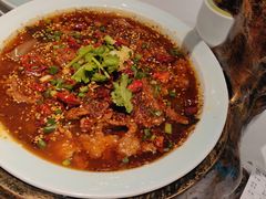油泼秦川黄牛肉-江城小馆陕南妈妈菜·全球旅行餐厅(钟楼店)