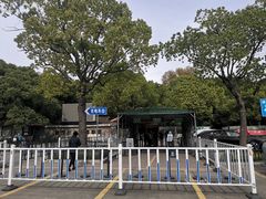 -上海共青森林公园