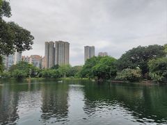 -晓港公园