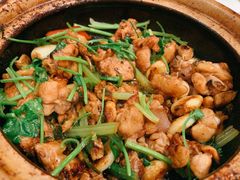 沙姜嗜鸡-煲煲好(朝阳门店)