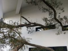 -梅峰山地公园