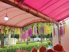 -马白开来特色羊排揪片子  (总店)