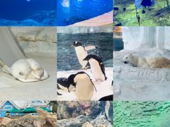 -珠海长隆海洋王国