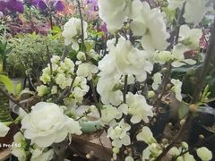 -无锡文化工艺品市场(槐古路店)