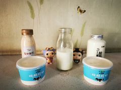 酸奶-正飞鲜奶(公园北街店)