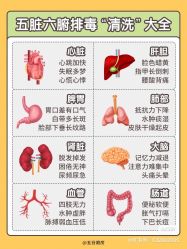 -香薇妮丝女子减肥院