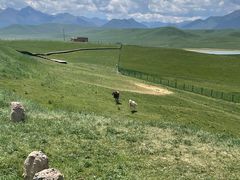 -山丹皇家马场