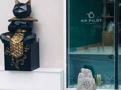 -飞行喵MR PILOT|猫舍·猫咖(静安大融城店)