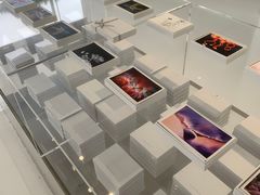 -罗红摄影艺术馆