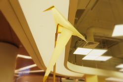 -GOLDEN HAIR儿童造型设计(丁香国际店)