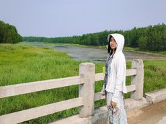 -黄河故道国家森林公园