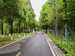 -洋湖国家湿地公园