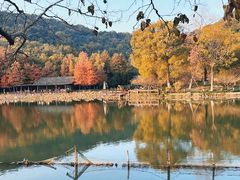 -八卦田遗址公园