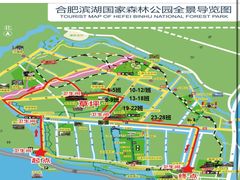 -合肥滨湖国家森林公园