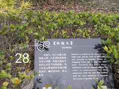 -高子水居