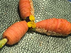-宴周康·精致江浙菜(周浦店)