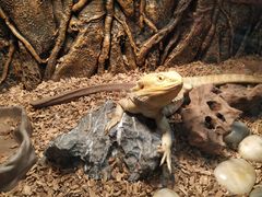 -石家庄市动物园