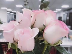 -怡花宜木鲜花店(朝阳路店)