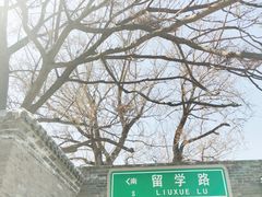 -洪记白水羊头(留学路店)