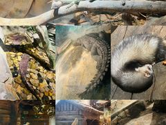 -南京金牛湖风景区