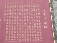 -大槐树寻根祭祖园