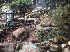 -三江森林温泉度假区