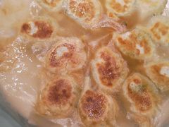 角瓜鸡蛋虾仁煎饺-添福来墨鱼饺子 · 海鲜东北菜(大连星海·黄浦路店)