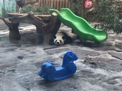 -石家庄市动物园