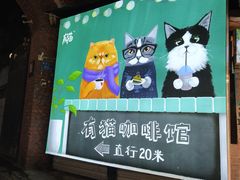-有猫主题·治愈系猫咖(曾厝垵店)