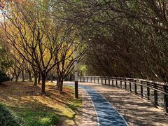 -苏州河梦清园环保主题公园