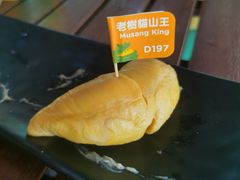 -榴莲BB 四季果园